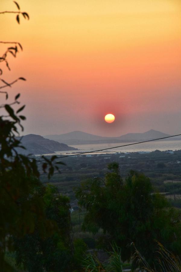 Rustic Private Cottage W/ King Bed In Galanado Naxos ภายนอก รูปภาพ