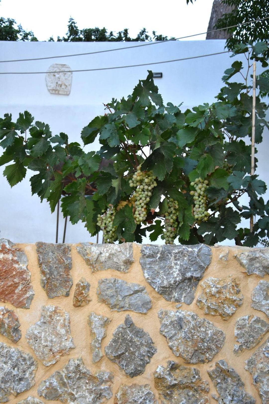 Rustic Private Cottage W/ King Bed In Galanado Naxos ห้อง รูปภาพ